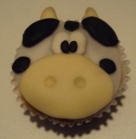 /album/galeria-de-fotos/vaquinha-jpg/